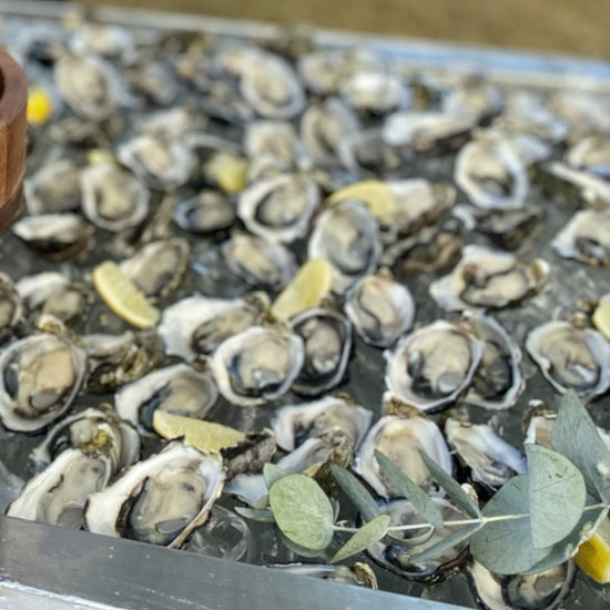 hundreds of freshly shucked oysters sit on a bed of ice with condements. Staff is shucking an oyster for a customer in the background.